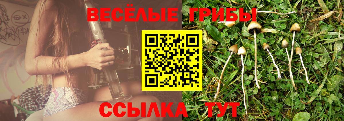 Псилоцибиновые грибы Magic Shrooms  Вход с VPN  Псков 